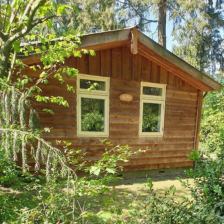 De Kleine Kriemelkuil Villa Ermelo Ngoại thất bức ảnh