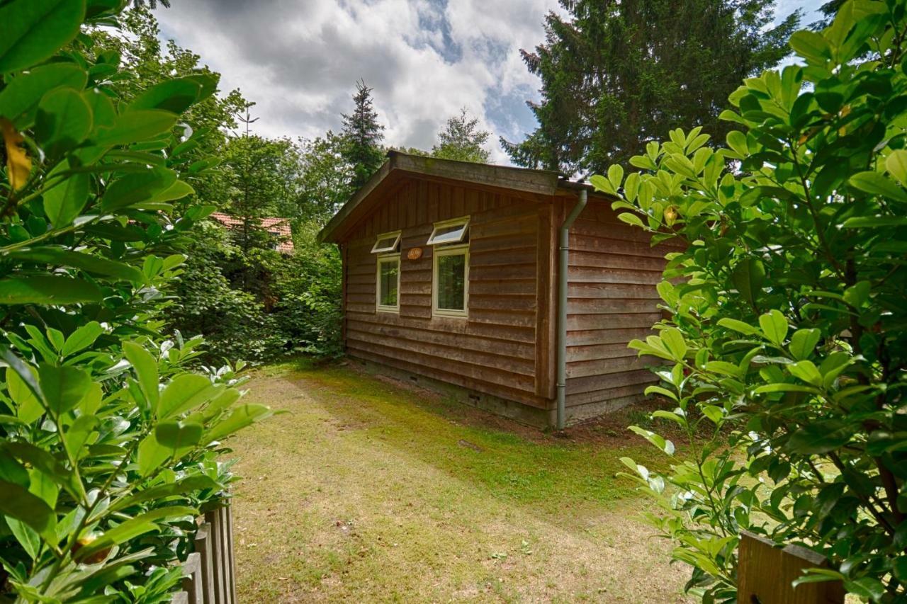De Kleine Kriemelkuil Villa Ermelo Ngoại thất bức ảnh